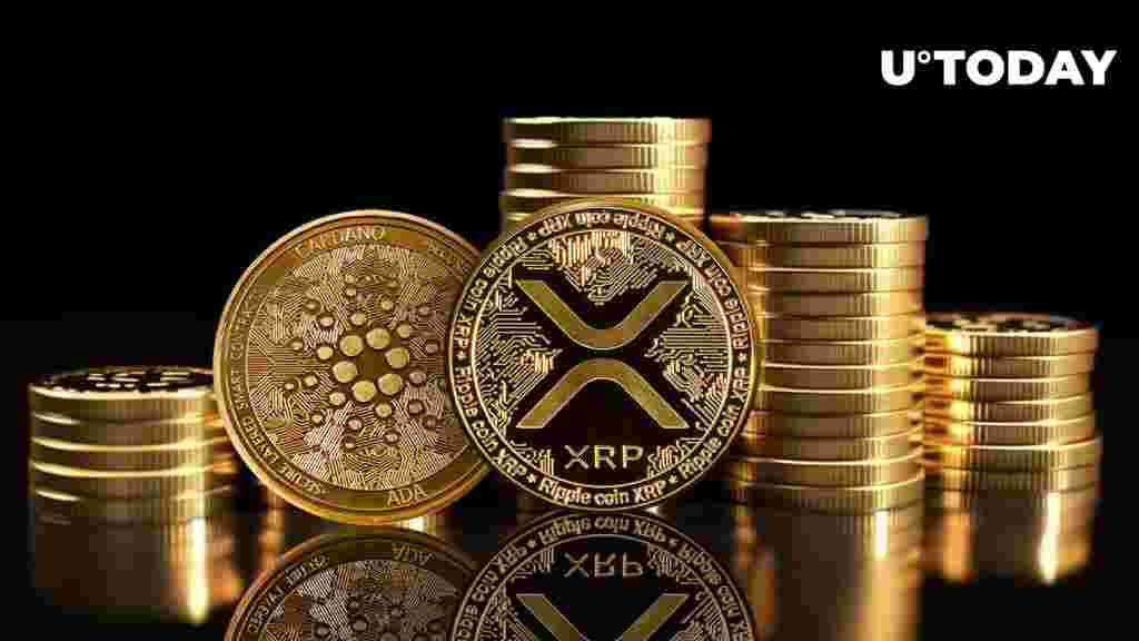 Ex-Goldman Sachs Analyst Critiques XRP and ADA, Calls Them 'Cult Meme Coins'