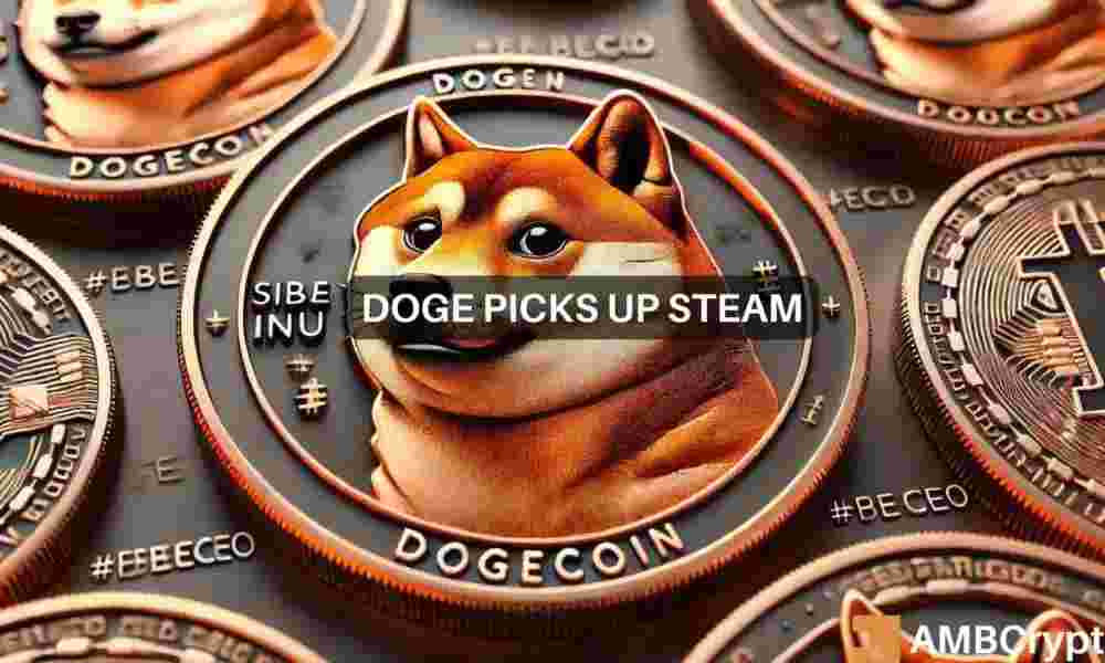 Dogecoin Price Stability: The Role of MVRV in Short-Term Performance