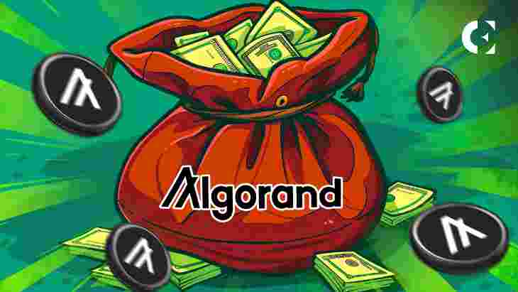 Algorand Leads the Rebound: How Altcoins Are Winning Back Their Value