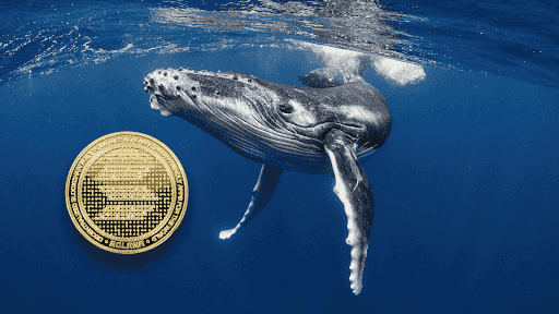 Discover Why SOL Whales Are Rushing to RCO Finance's Record-Breaking Presale!