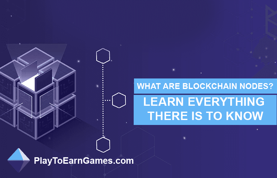 What are blockchain nodes?