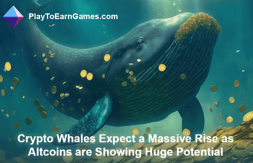 Crypto Whales Expect Rise in Altcoins