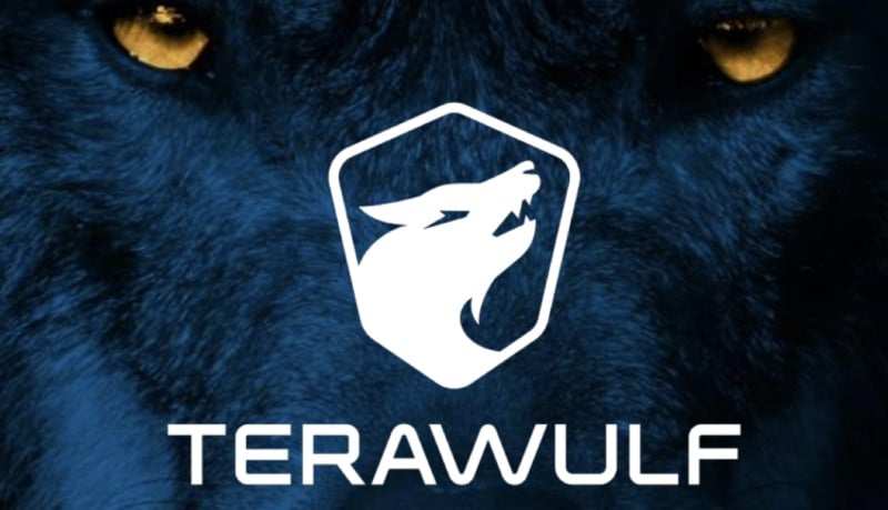 TeraWulf Surprises with Revenue Rise While Bitcoin Production Slumps by 21%