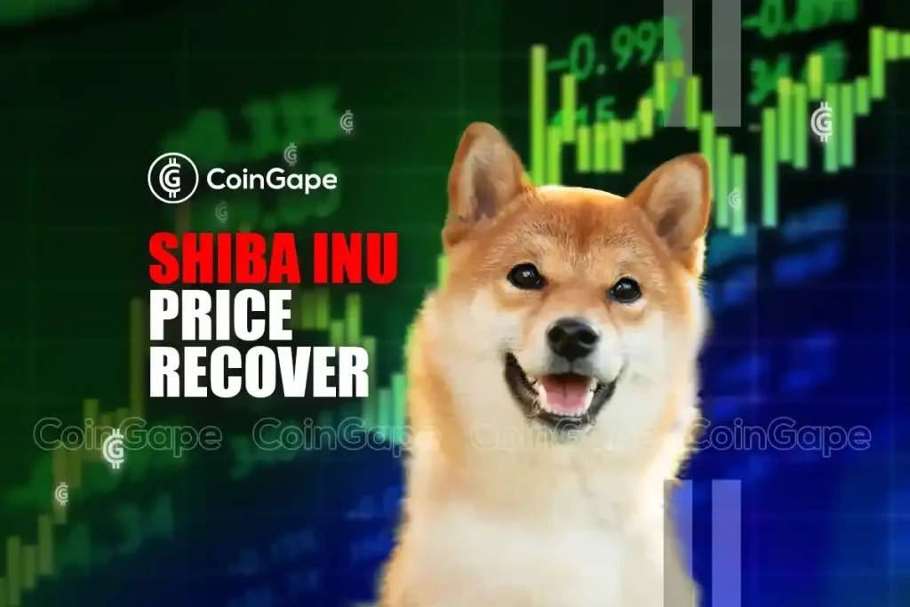 Is There a Recovery Path for Shiba Inu Amidst the Meme Coin Downturn?