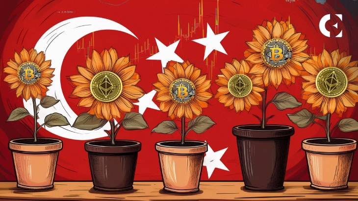 Turkey Unveils Crypto Legislation to Escape FATF Gray Zone