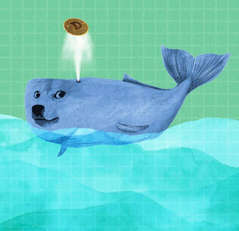 Whale Buys of Dogecoin Surge by 868%, Signaling Potential Bull Run