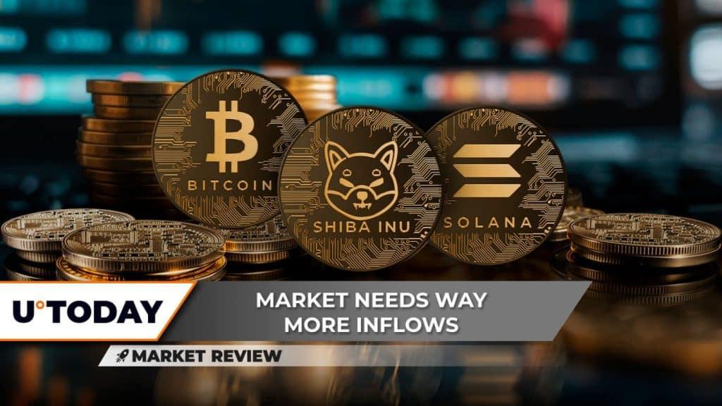 BTC Plunges $60K, SHIB Eyes 13% Drop, SOL Set for Growth from $135