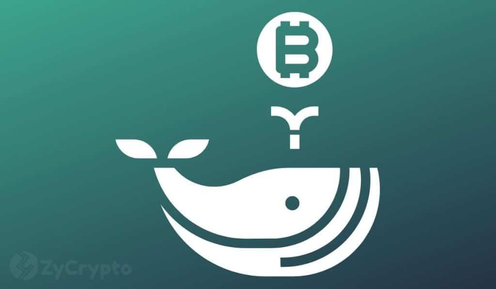 Whales Purchase 71,000 BTC, Spurring New Mega Bull Cycle for XRP, Shiba Inu, Solana, Cardano