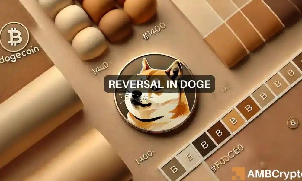 DOGE on the Rise? Insider Look Reveals Bull Run Signals!
