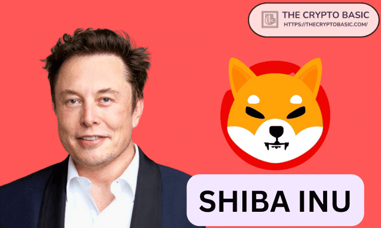 Elon Musk and Shiba Inu Might Have a Meeting in the Near Future
