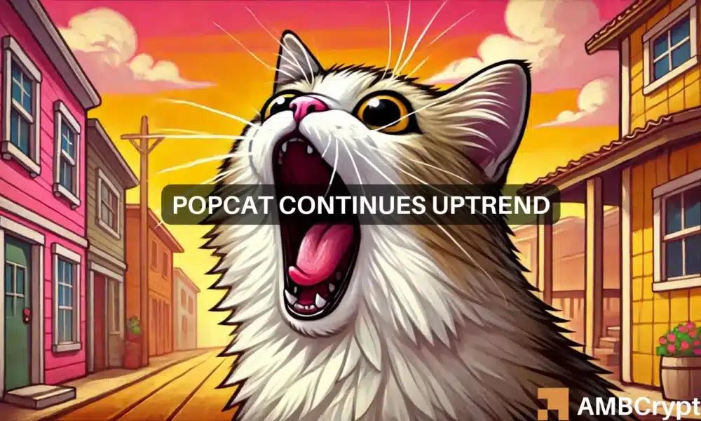 Solana's Popcat Volatility: A Rising Opportunity for Profit?