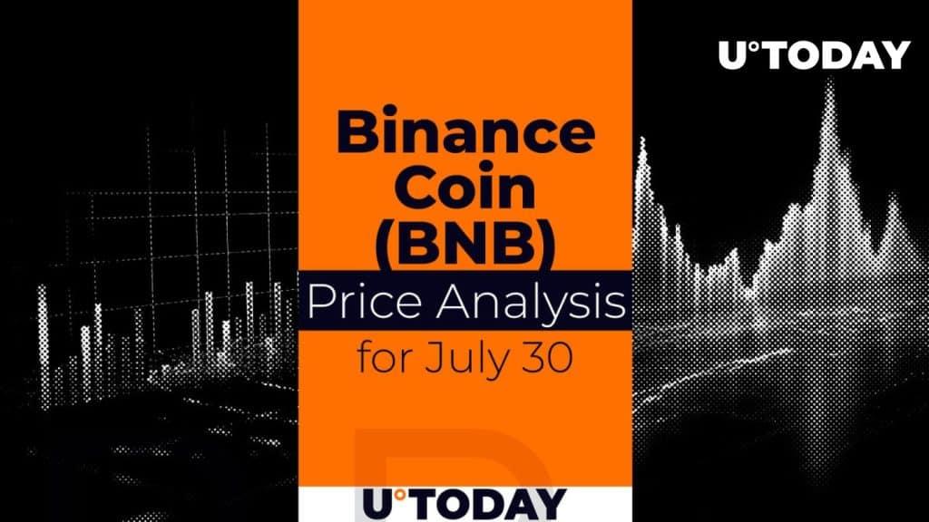 Exciting BNB Forecast: July 30! Will It Skyrocket? Top Insider Scoop!