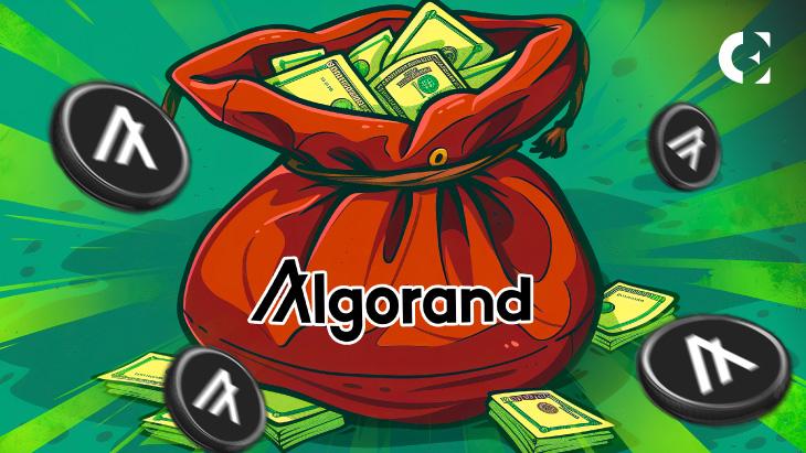 Algorand Leads the Rebound: How Altcoins Are Winning Back Their Value