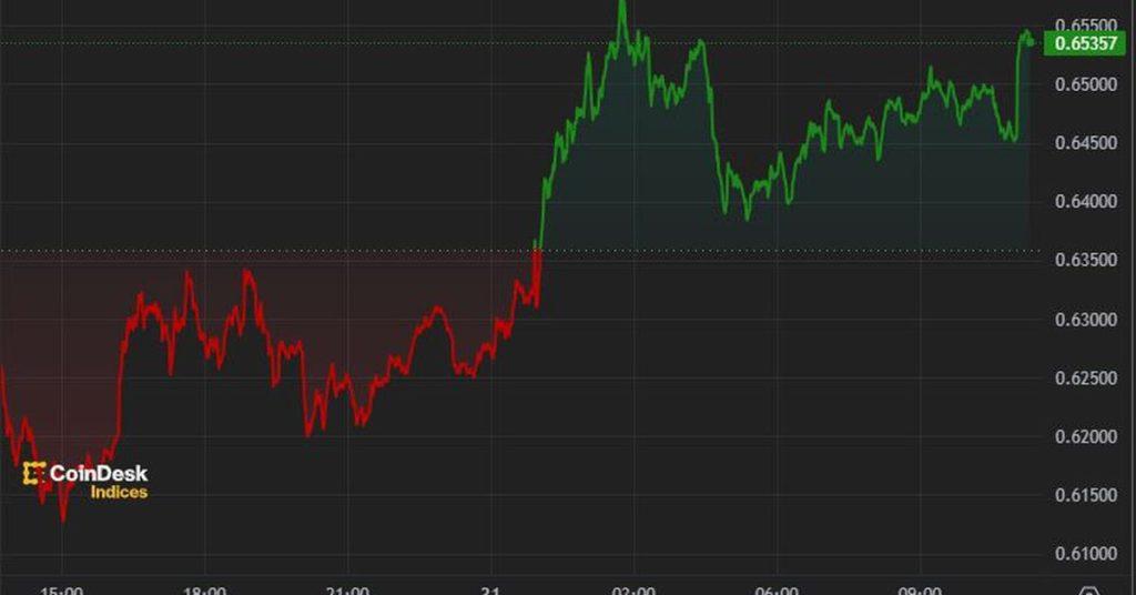 The Great Rebound: How Coin24h Led the Crypto Revival Against Odds