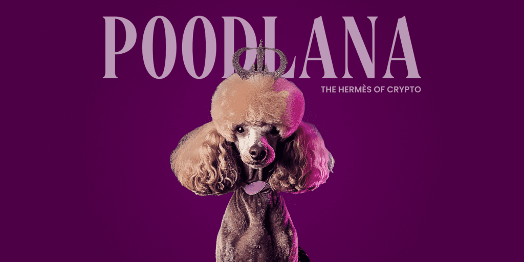 Exploring Poodlana: The Ultimate Alternative in the Crypto Dog Craze?