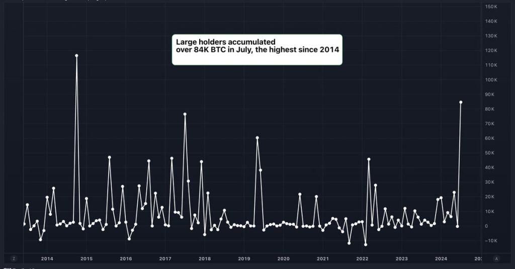 Whale Alert: Bitcoin Elite Scoop Up $5.4B in BTC - July's Power Move Unveiled