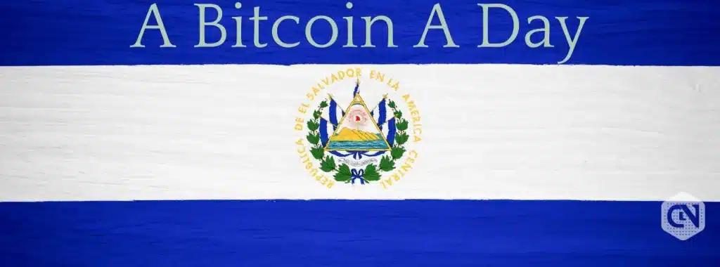 Despite Rising Market Anxiety El Salvador Commits to Daily Bitcoin Purchase