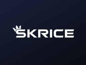 Skrice Studios - Game Developer