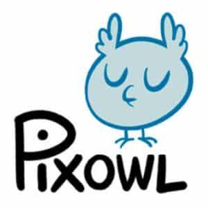 Pixowl - Game Developer