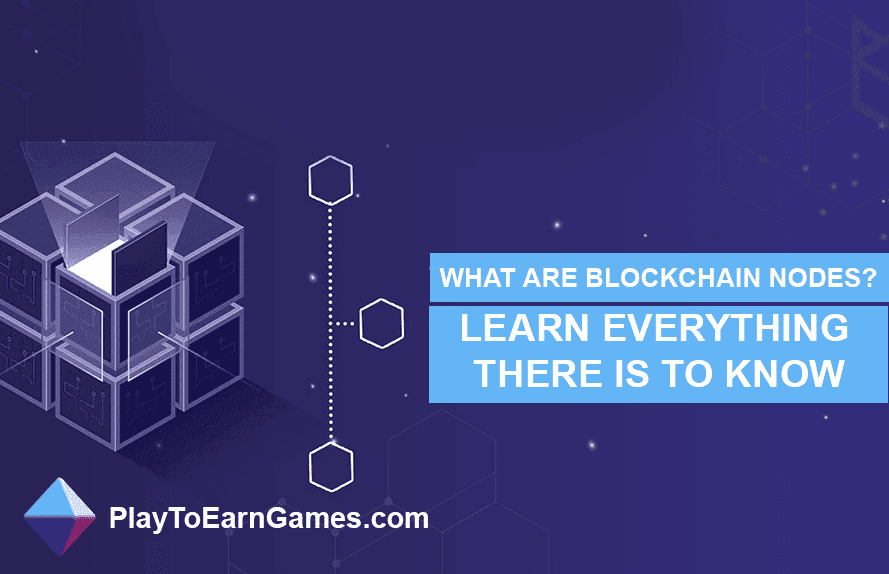 What are blockchain nodes? Learn Everything There Is to Know!