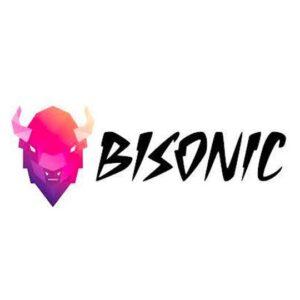 Bisonic - Video Game Developer - Games List