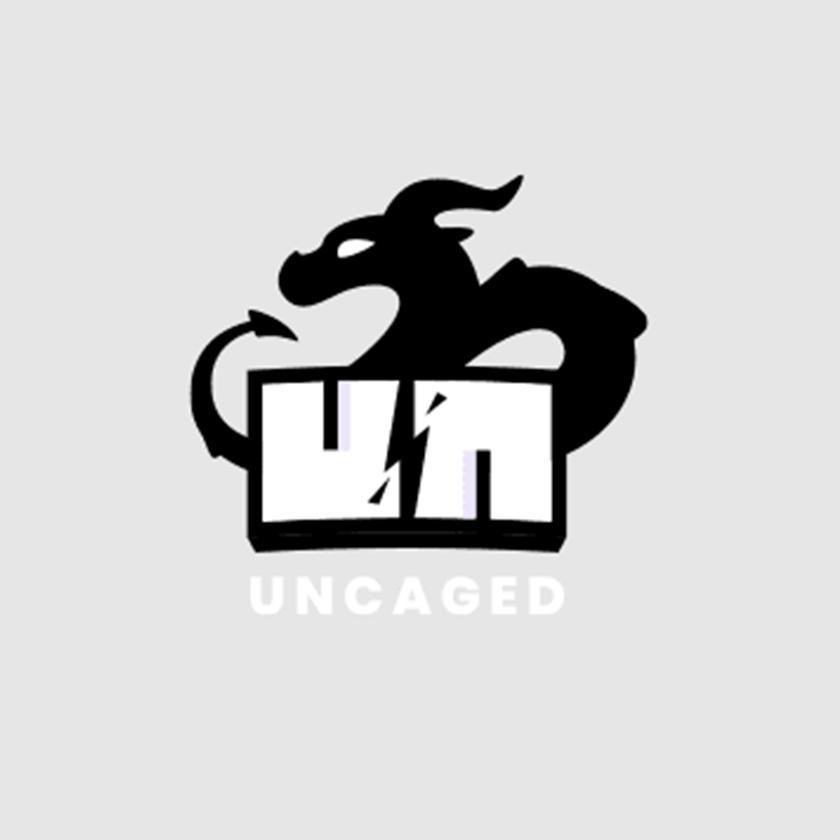 Uncaged Studios - Game Developer
