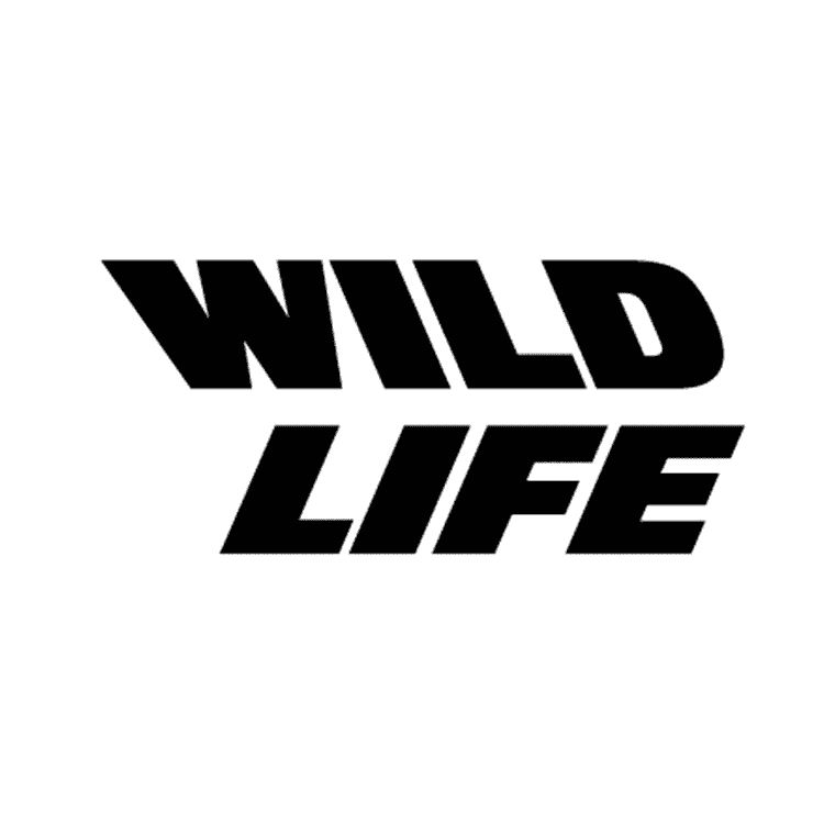 Wildlife - Game Developer
