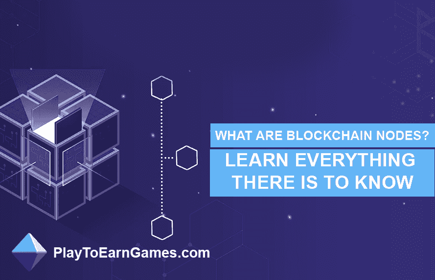 What are blockchain nodes?