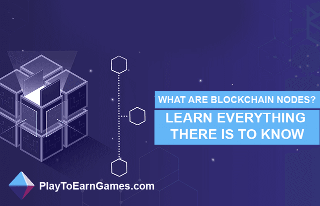 What are blockchain nodes?