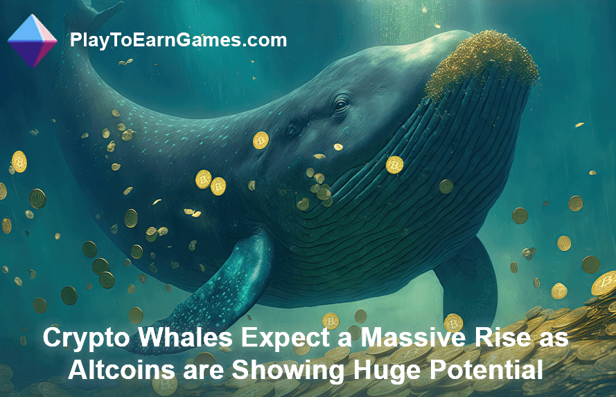 Crypto Whales Expect Rise in Altcoins