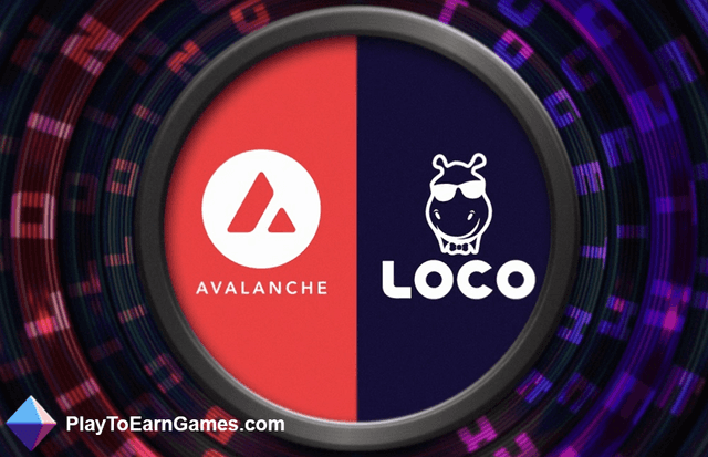 Loco Uses Avalanche Blockchain