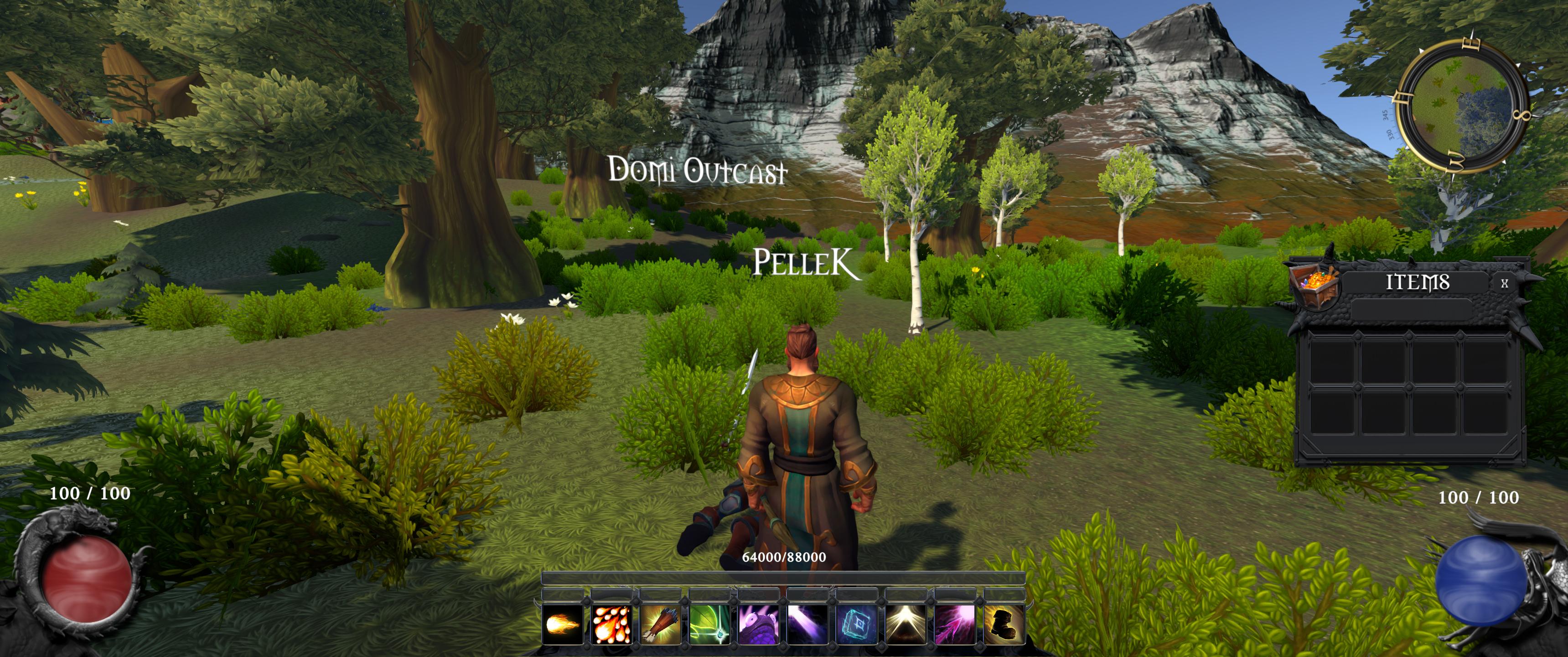 Domi Online is an MMORPG, Play-to-Earn, PvP and Multiplayer game, set in a medieval fantasy world where there is no level or skill cap, with death having severe consequences.